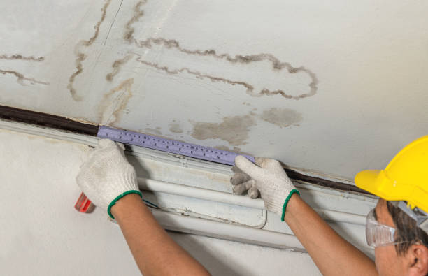 Reliable Water Damage contractor in Gillett, WI by Water Damage Irwin